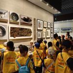 微信图片_20250329160624